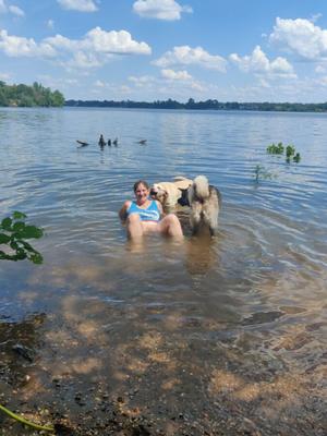 Kari llevó perros al río