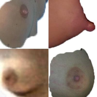 Schwestern |  Nippel