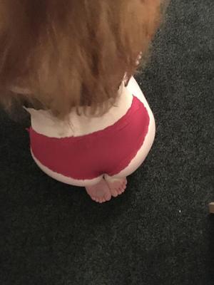 Slut chav ass showing silk red panties