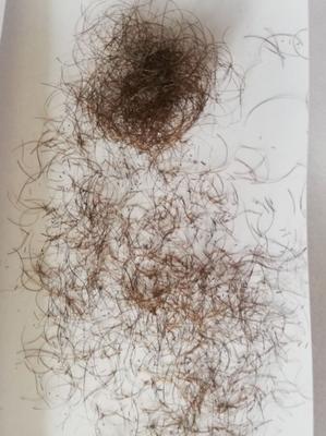 Hair Hair Everywhere - shaved my wife