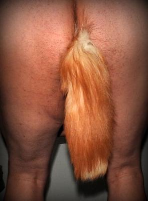 Fox-Tail